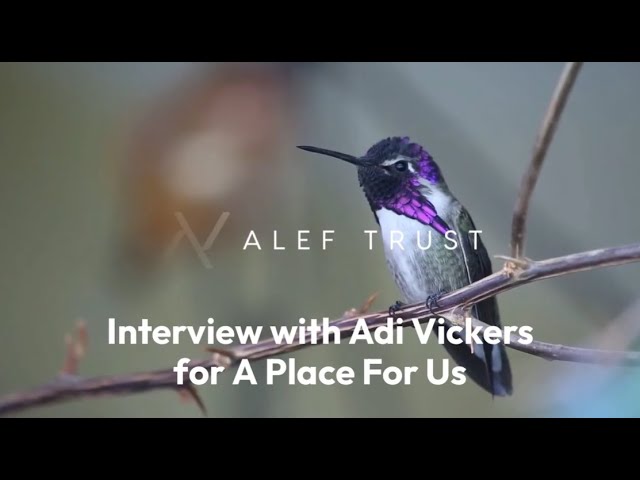 A Place for Us – A Conscious Community Project in Rural India