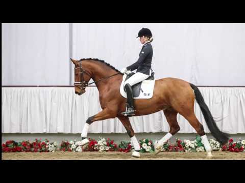 08 Vanderbilt Wallach v. Vitalis - Daddy Cool