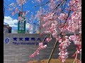 Các trường du học ở Tokyo
