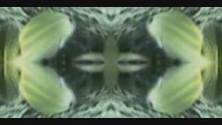 Animal Collective - Pan Flute Jam from Graze