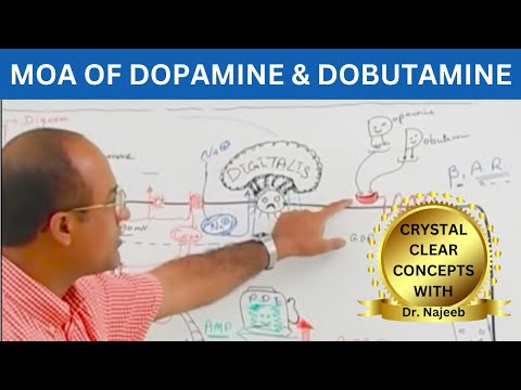 Dopamine | Dobutamine | MOA | Pharmacology