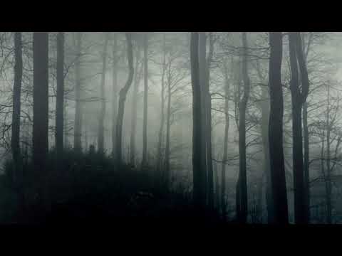 Dark Ambience - Horror Background Music 10 Hours