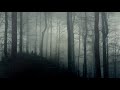 Dark Ambience Horror Background Music 10 Hours