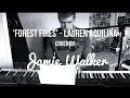 Forest Fires - Lauren Aquilina cover by Jamie ...