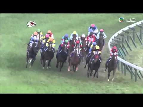 2015 Tenno Sho Autumn (Japanese Group 1)