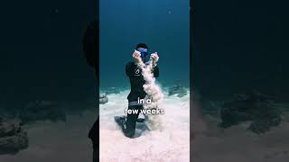 Hold your Breath for 5 Minutes! Learn from a Freediving World Champion