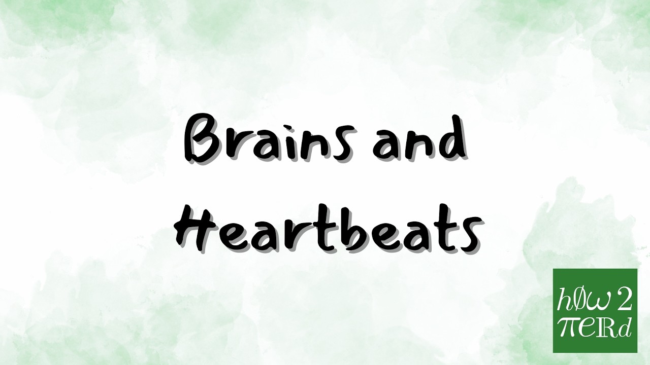 Brains and Heartbeats