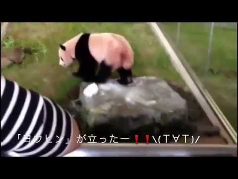 アドベンチャーワールド