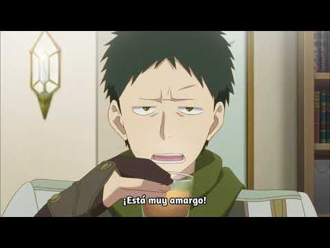 Akagami No Shirayuki cap 11 sub español