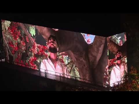 Jay Wheeler - Solo de Mi / La Curiosidad en la RESIDENCIA de BAD BUNNY (Live in El Choliseo)