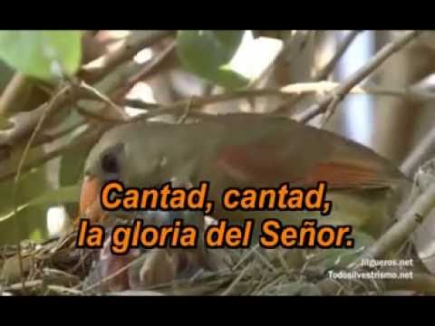 Himno Nº 599 En este bello día