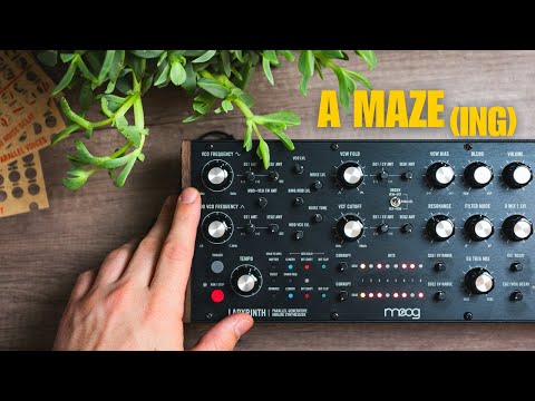 MOOG LABYRINTH: Can You Tame Chaos? // A Synth Review
