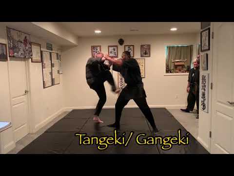 Koto Ryu Shoden Menkyo