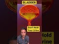 Dangers Of Holding Your Urine