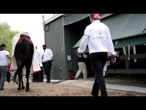 Preakness: Orb at Pimlico, 5/16/2013