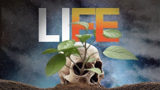 Download lagu D’Mäine – Life mp3