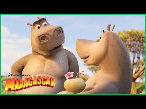 Capa de Madagascar | Glória Conhece Moto Moto Pela Primeira Vez ❤️ | Desenhos Animados em Português