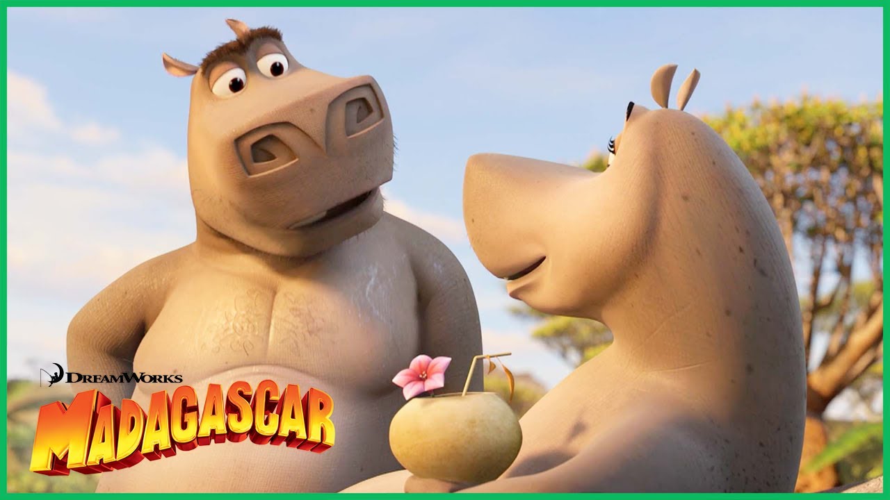 Madagascar | Glória Conhece Moto Moto Pela Primeira Vez ❤️ | Desenhos Animados em Português