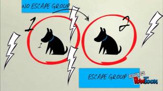 Learned Helplessness