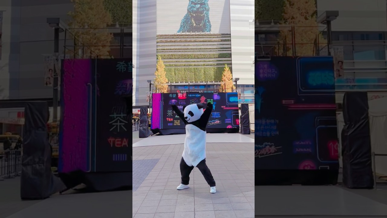 やばいパンダが新宿におる #dance #tokyo #パンダ