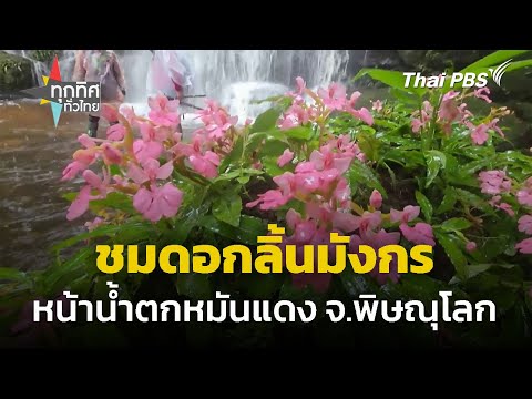 Man Daeng Waterfall