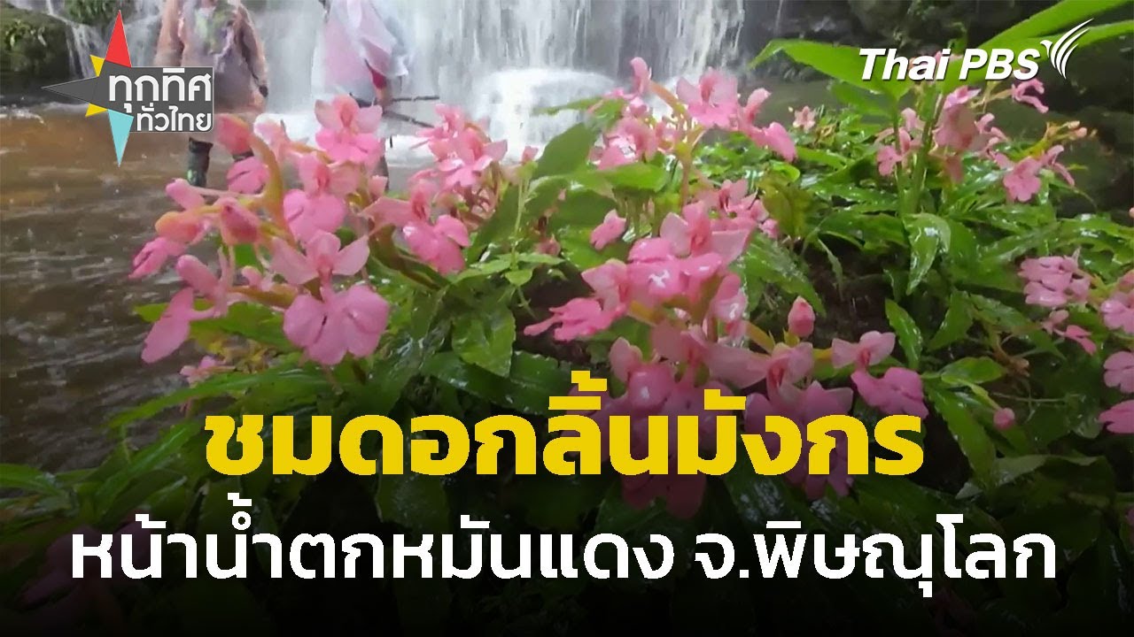 Man Daeng Waterfall