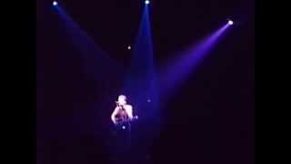 Bruce Springsteen Born To Run Acoustic Live In St.Louis 1988 Tunnel of Love Tour