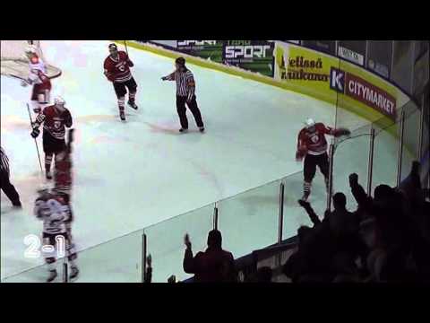 Maalikooste: Peliitat - Hokki 28.2.2014