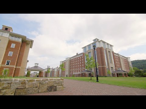 Lu Virtual Tour The Commons