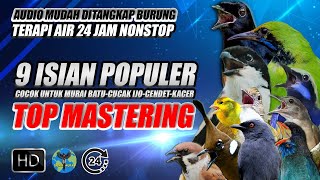 Download lagu #17 MASTERAN MURAI BATU THE BEST! FULL ISIAN TEMBAKAN GACOR TERBARU 2026 mp3