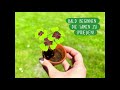Grafik Werkstatt Terrakottatopf Blumengrüsse Alles Liebe Mini