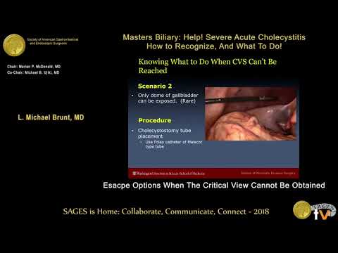 Escape options when the Critical View of Safety cannot be obtained from the SAGES Video Library