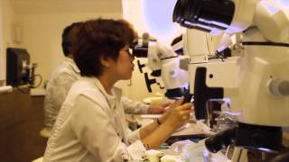 Lecture and Hands on training by Dr.Louis Berman （Rev)