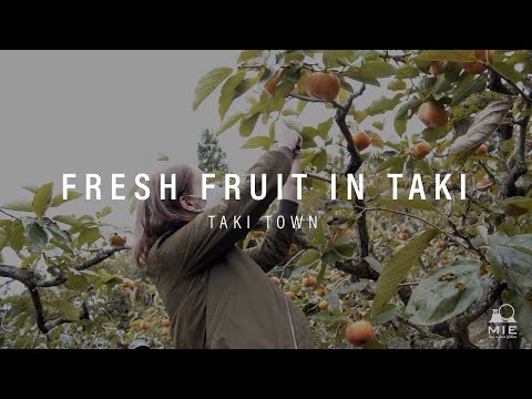Fresh fruits in Taki - TAKI