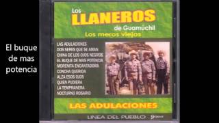 Los Llaneros de Guamuchil - Las Adulaciones (disco completo)