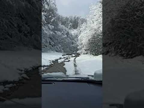 Cerna sat zona mirifica☺️☺️☺️