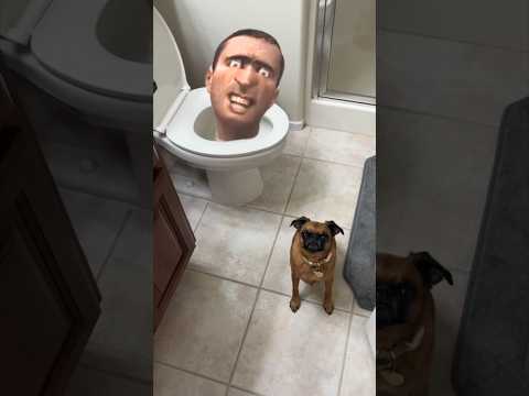 Skibidi Toilet is REAL!! 😳🚽 #skibiditoilet #toilet #shorts