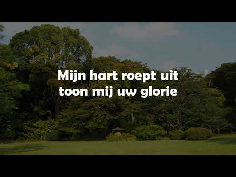 Opwekking met tekst 860 Toon mij Uw glorie (versie 2)