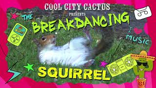 Crazy Breakdancing Squirrel - Go Nuts!