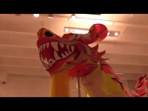 CELEBRAN LA LLEGADA DEL AÑO DEL MONO DE FUEGO