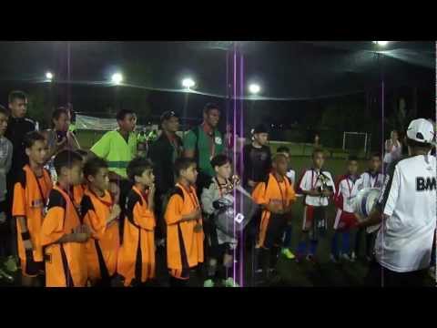 Campeão da Copa cruzeiro acqua ball 2011 - Fraldinha,  Acesso fácil