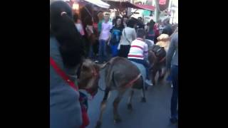 metro de Torrejón de Ardoz