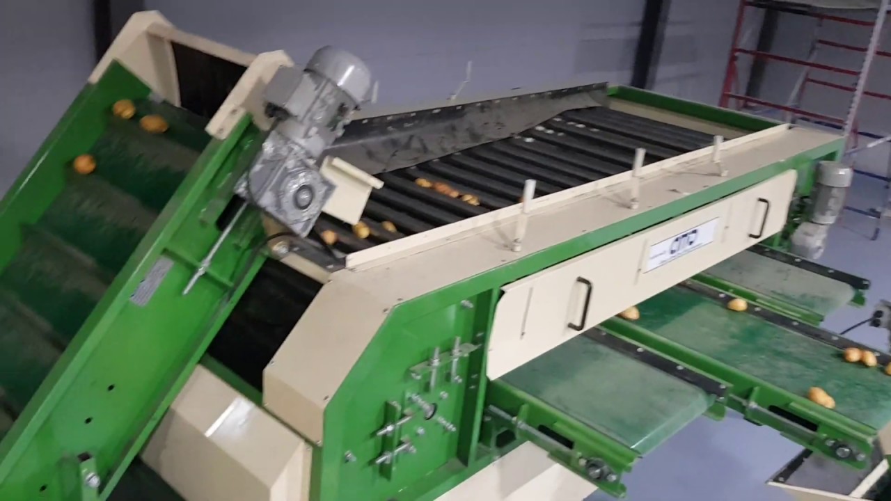 оборудование машина для сортировки калибровки овощей, картофеля, моркови, лука, свеклы, корнеплодов по размеру УК-10