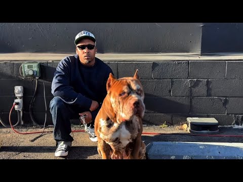 90s Bangin on Wax Music Video was like