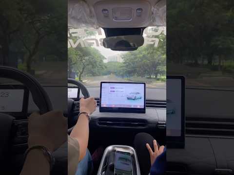 Thumbnail for Dongfeng Nammi Box Test Drive by Dongfeng Nammi