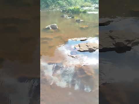 começo do rio Adelaide boa vista da aparecida PR