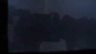 Ska's Moon over Asbury