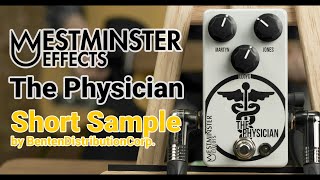 Video thumbnail for 【Westminster Effects】 The Physician - Short Sample by Benten Distribution