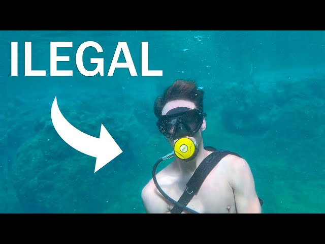 Vídeo relacionado con Buxuaaaa Dipsy Diver - Conector de disco de buceo ajustable, accesorios de pesca, 45/57/87 mm de diámetro, accesorio de arrastre de grado marino