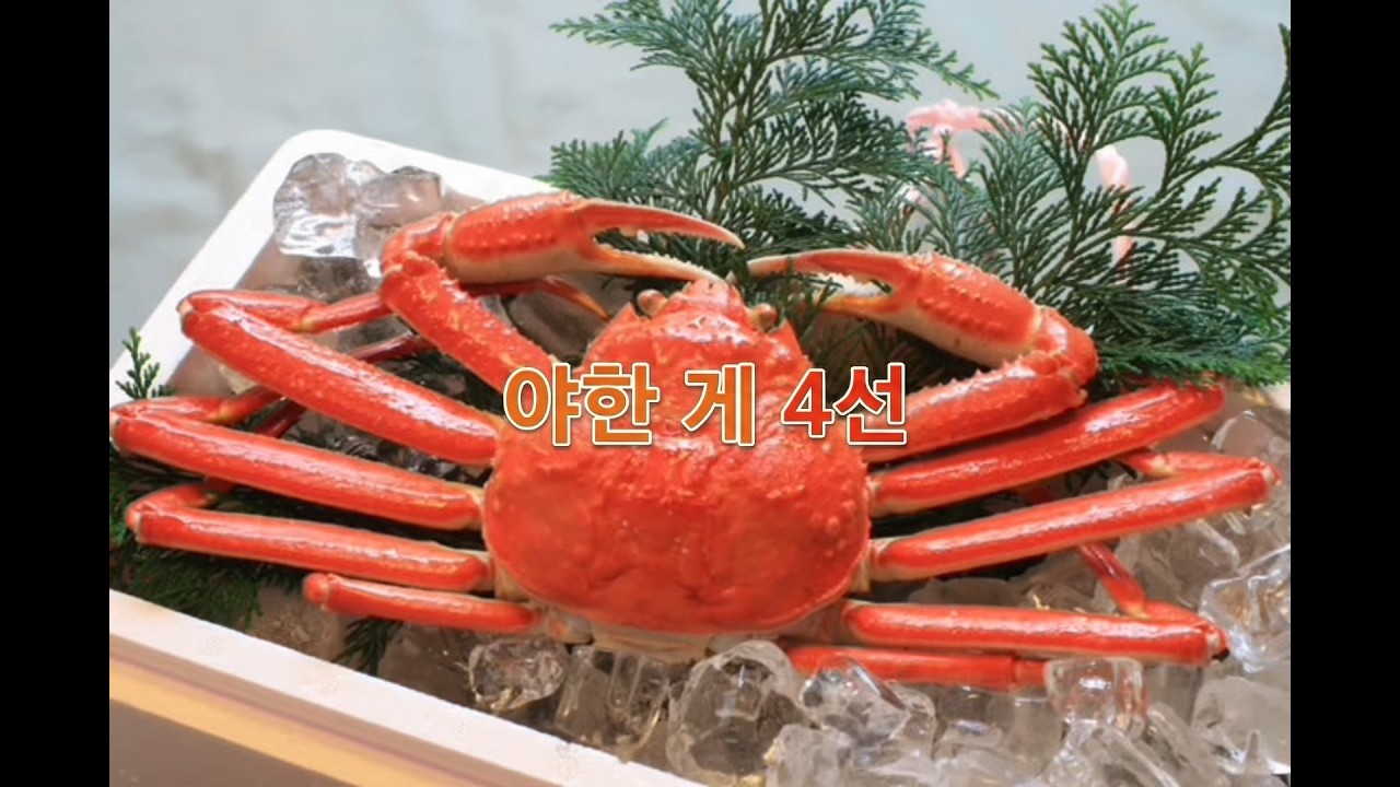 エッ〇なカニ4選 韓国語版
